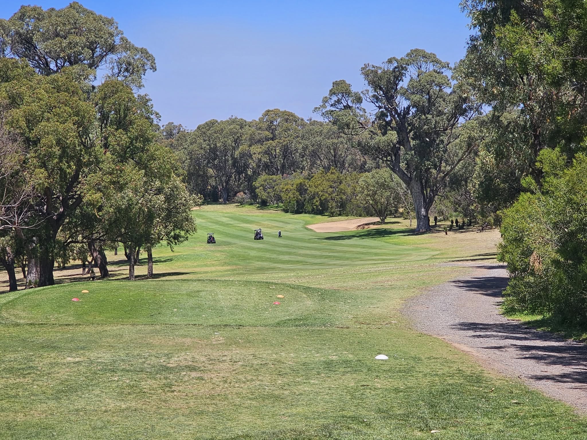 news item main image