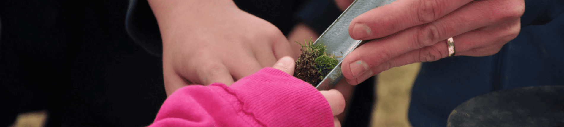 First Green website banner homepage.png