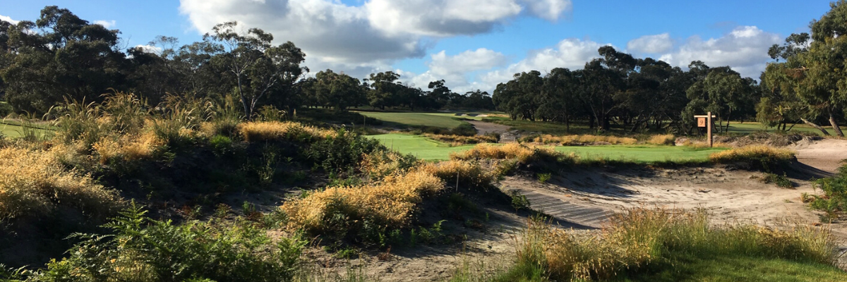 PK remnant banner.png