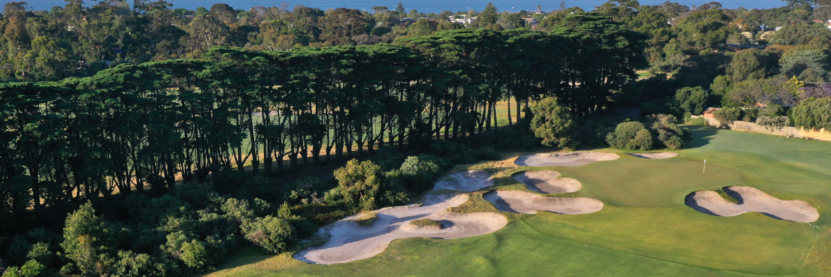 Sandringham banner.png